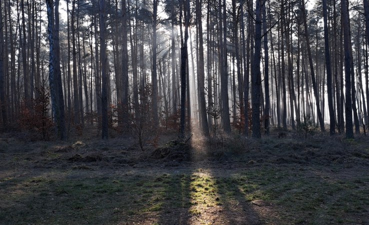 działka na sprzedaż - Wieleń (gw), Biała